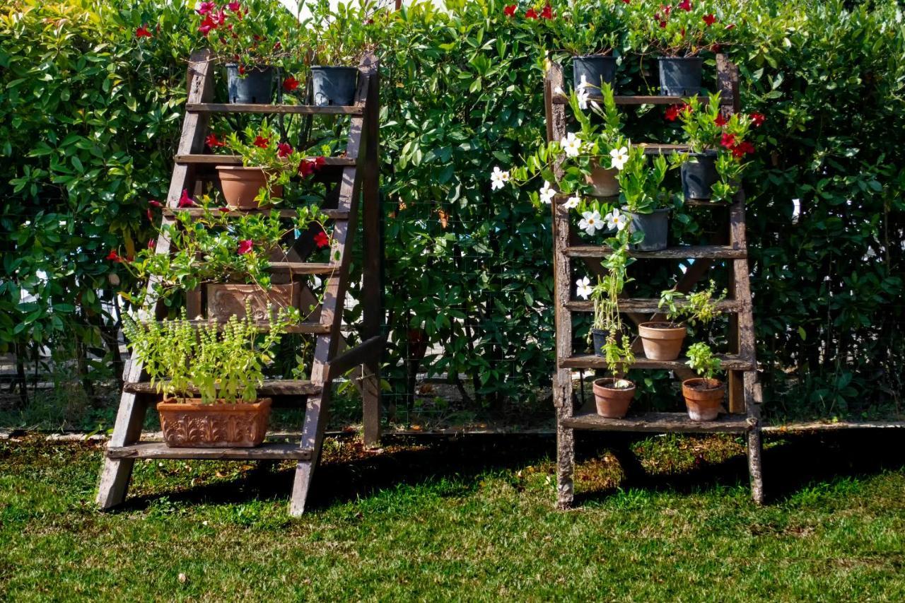 Tenuta Di Ghizzano Resort Ngoại thất bức ảnh