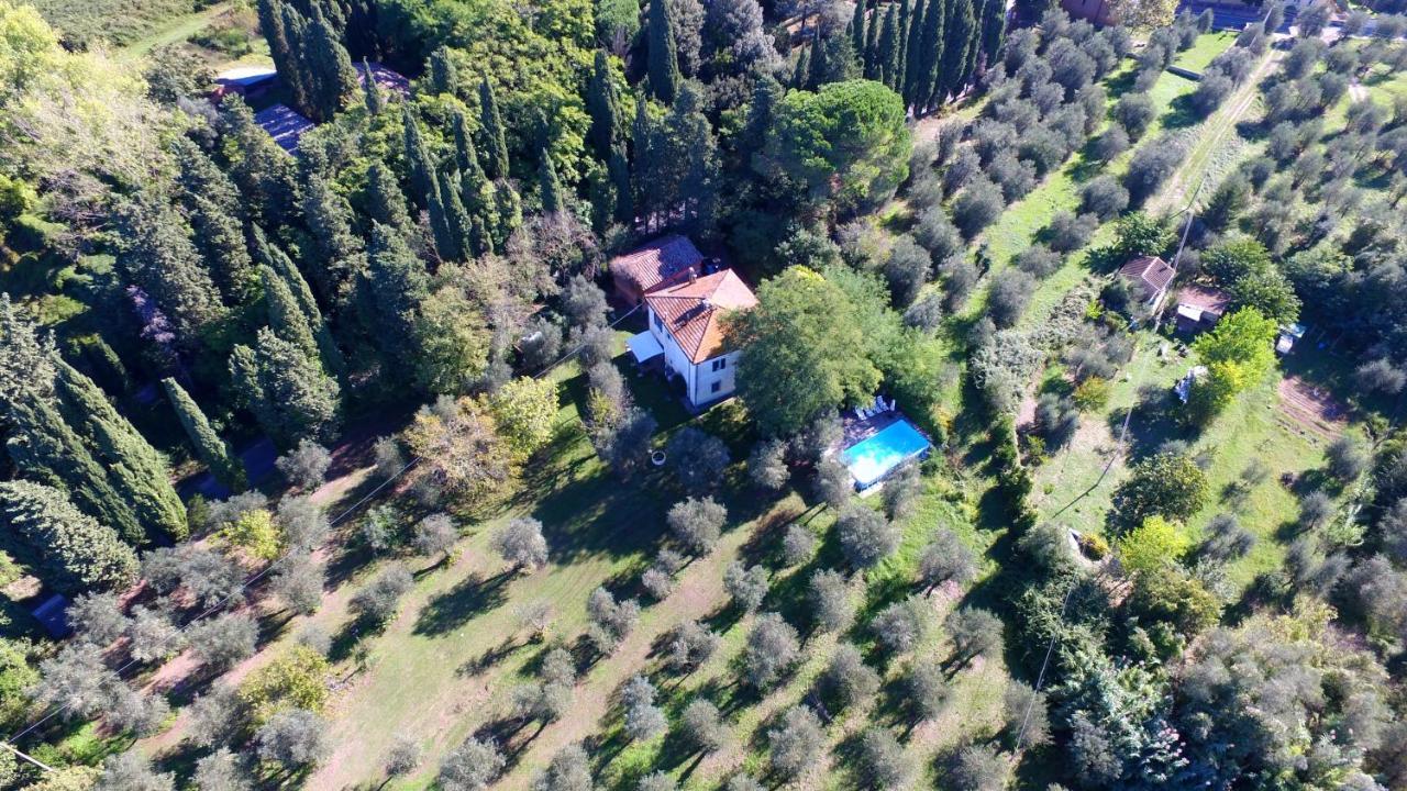 Tenuta Di Ghizzano Resort Ngoại thất bức ảnh