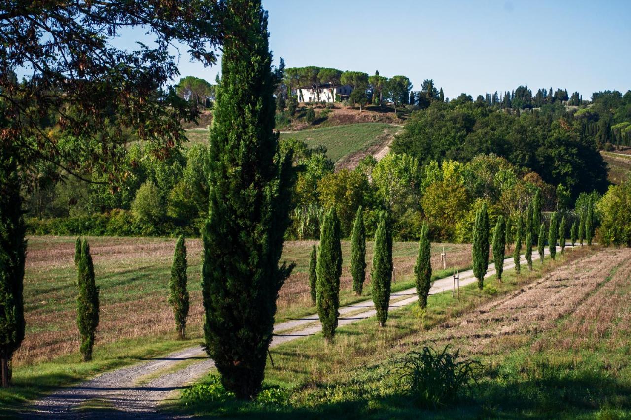 Tenuta Di Ghizzano Resort Ngoại thất bức ảnh