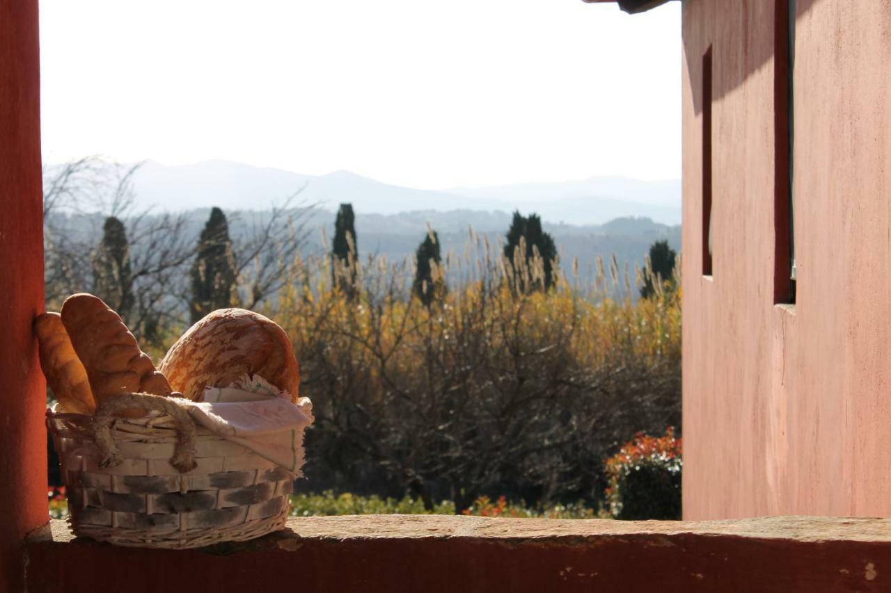 Tenuta Di Ghizzano Resort Ngoại thất bức ảnh
